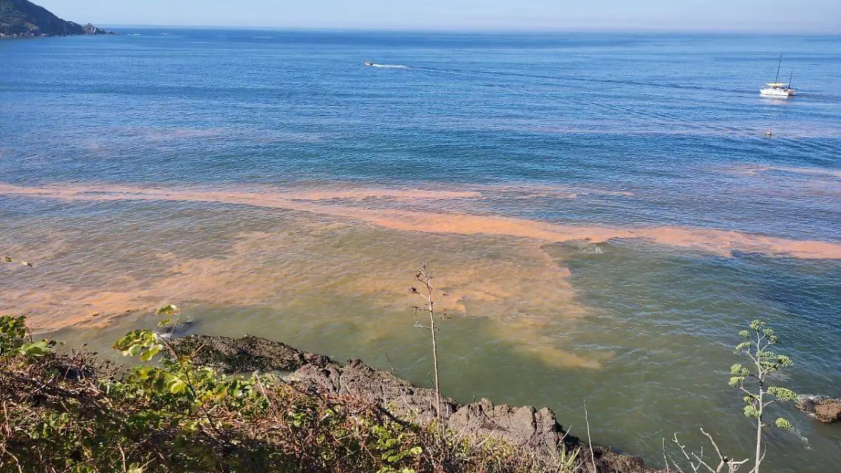 alerta por marea roja en mazatlan